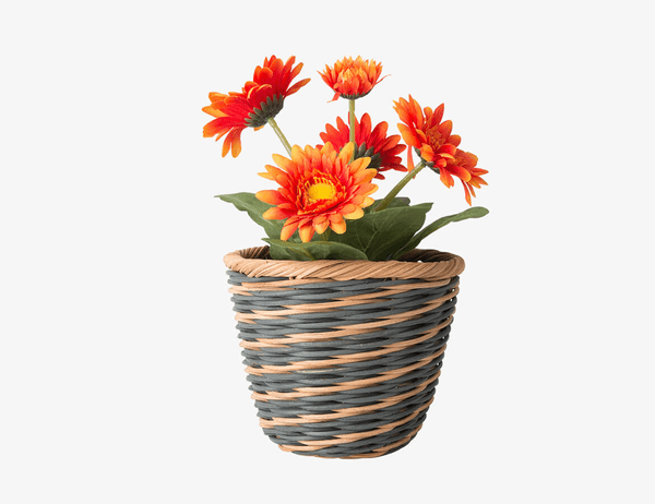Product 7